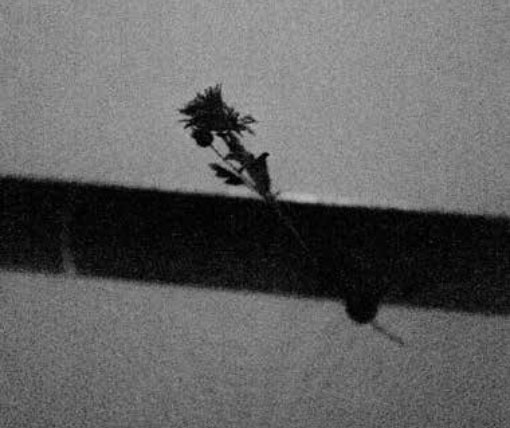 Dysfunctional Family