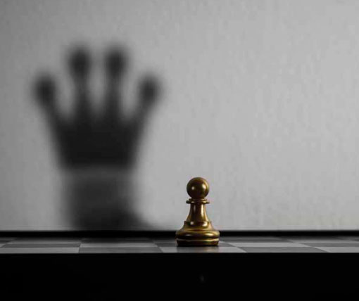 Succession Planning & Alignment